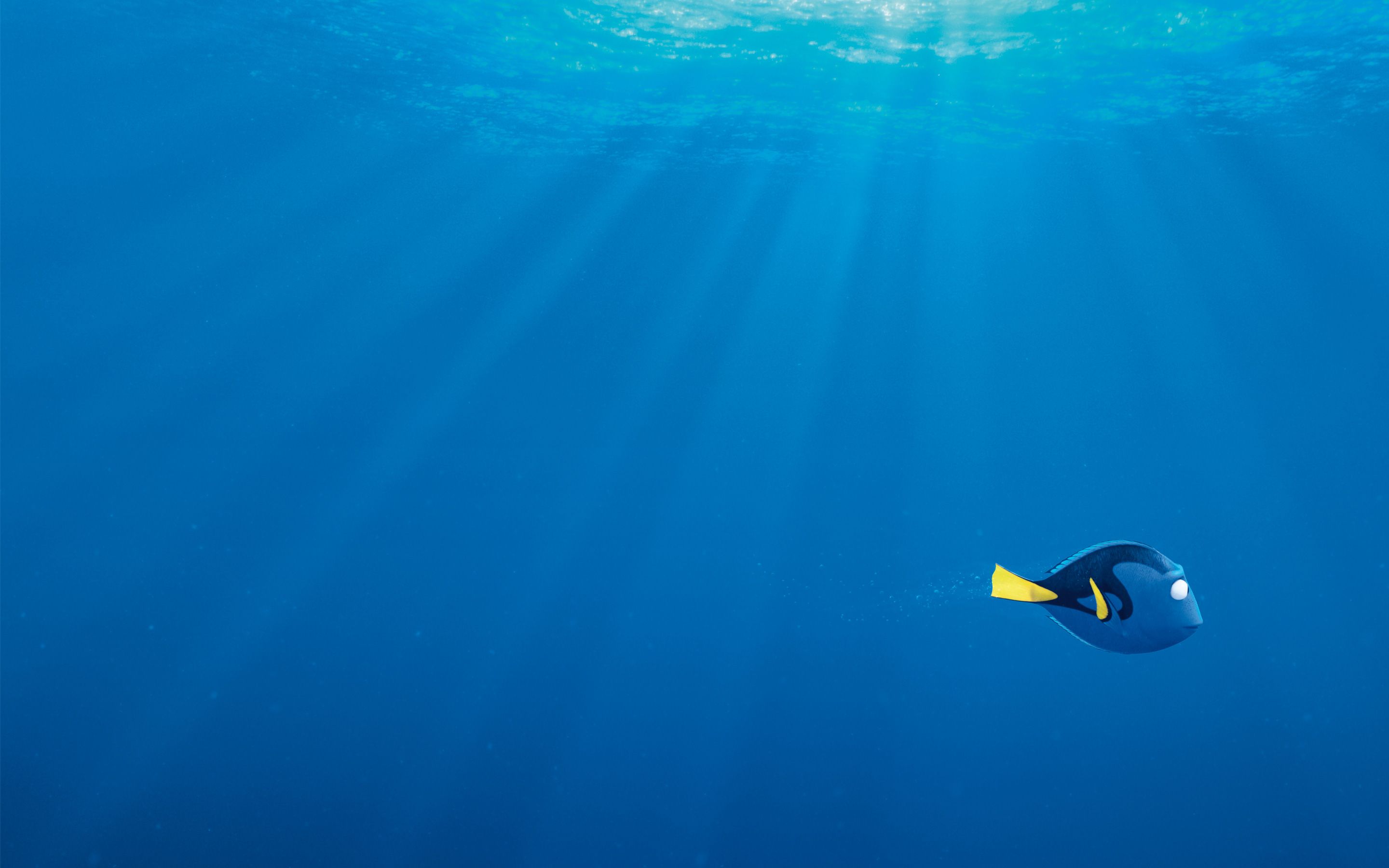HD-Finding-Dory-HD-Wallpaper-For-Your-Wallpapers-Image-with-Finding-Dory-HD-Wallpaper-Download-HD-Wallpaper
